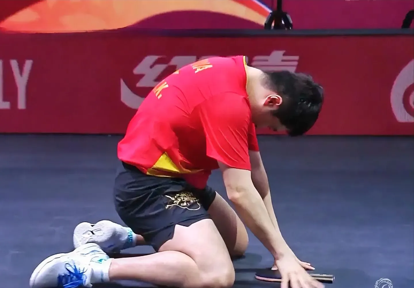 德国乒乓球队横扫日本乒乓球队,张继科惊艳世界的简单介绍 德国乒乓球队横扫日本乒乓球队,张继科惊艳世界的简单介绍