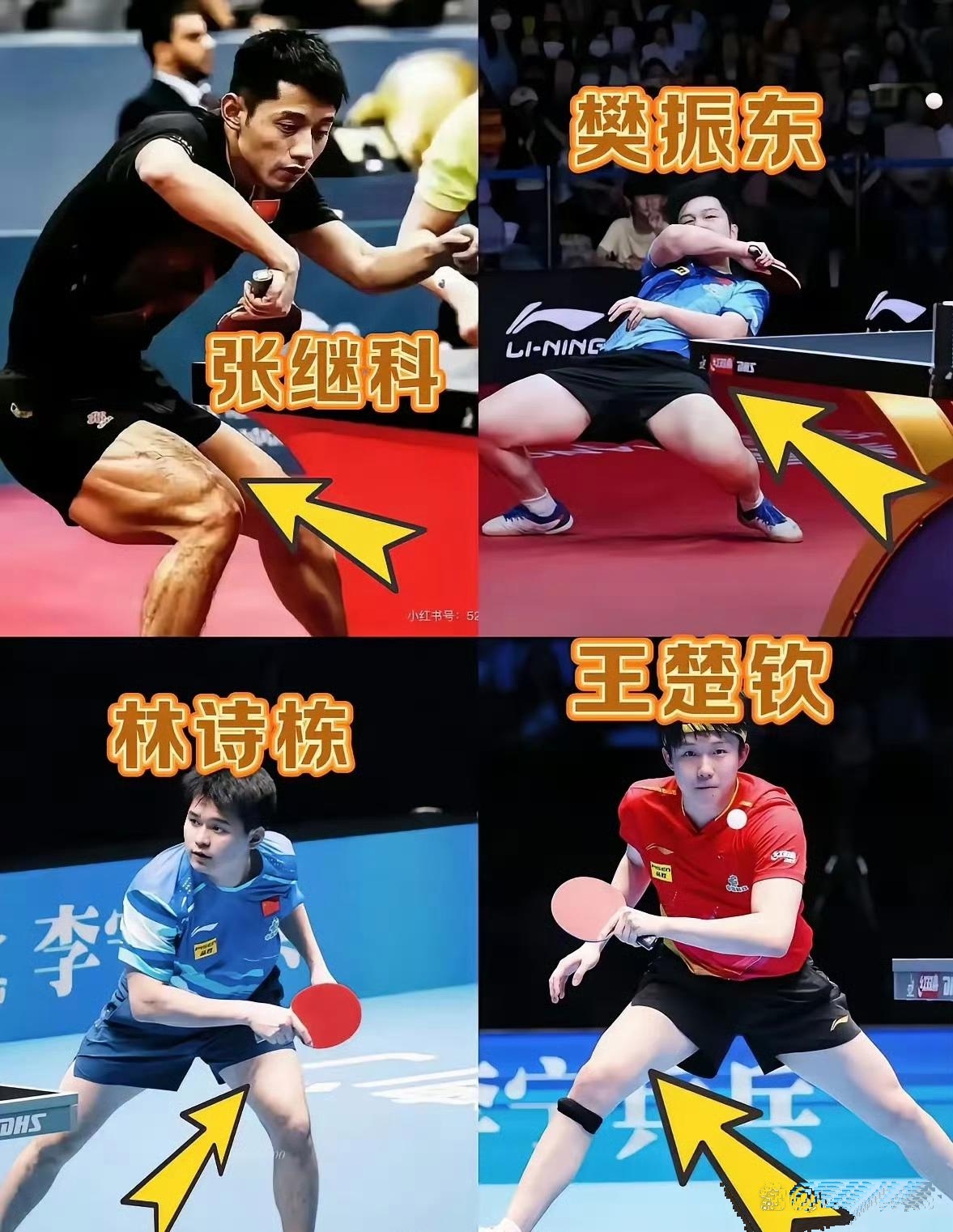 法国乒乓球队轻取韩国乒乓球队,张继科统治全场 法国乒乓球队轻取韩国乒乓球队,张继科统治全场