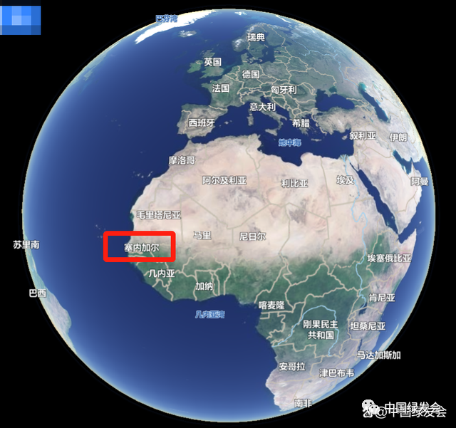 塞内加尔翻盘瑞典，莱万三分雨点燃全场