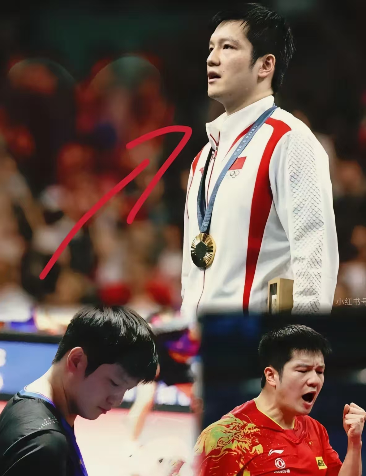 开云体育入口-日本队横扫中国队，樊振东状态火热