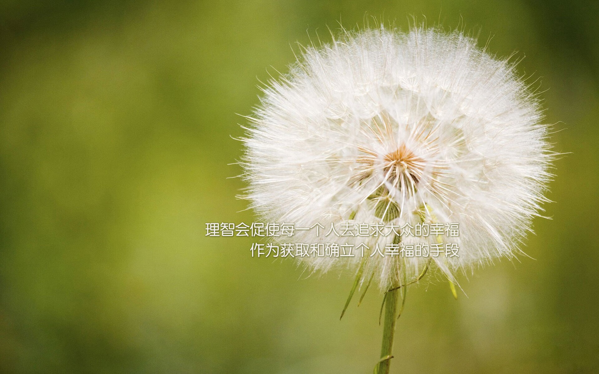 觉醒与精准，亚洲力量在欧洲赛场的双重变奏