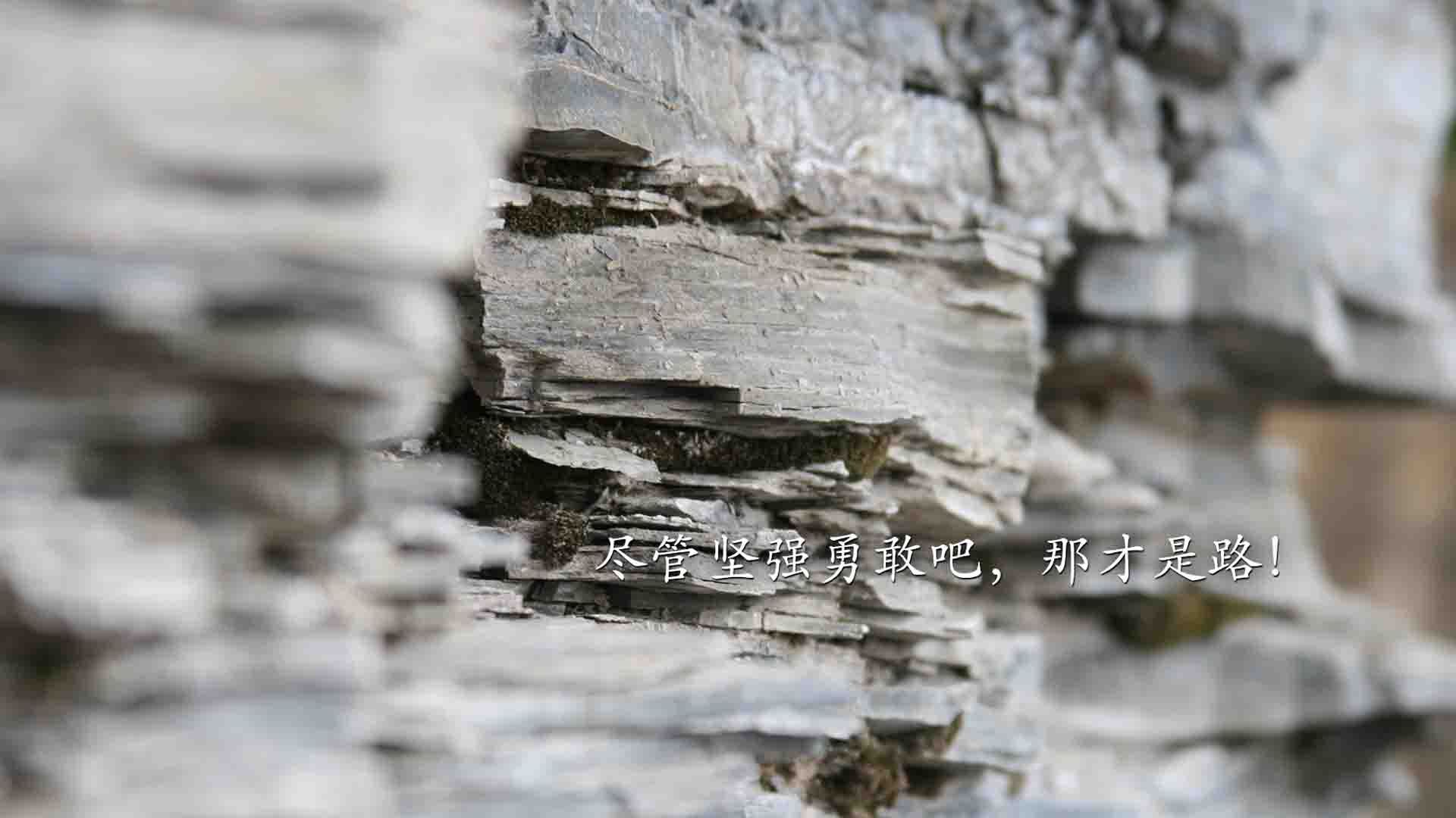 开云体育平台APP-韩国轻取塞维利亚展现实力，格列兹曼状态火热再证巅峰