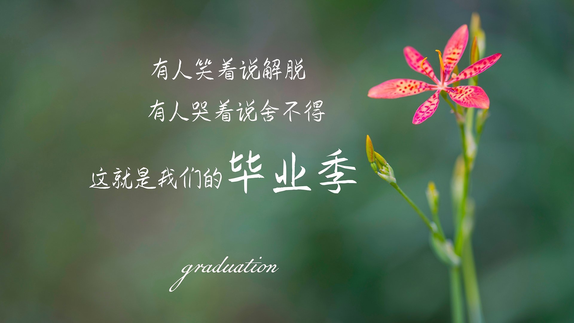 双线凯歌,德国队力克瑞典队,张本智和带队取胜