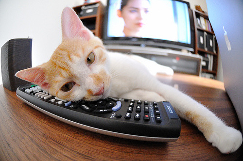 天平两端的砝码,西决生死战之夜,詹姆斯如何成为终极胜负手