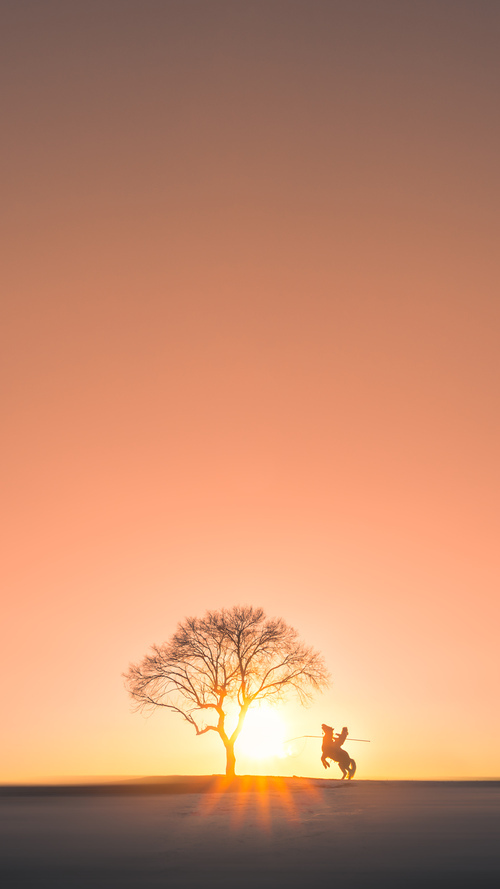 辽篮铁血力克红色风暴，武切维奇化身关键先生锁定胜局