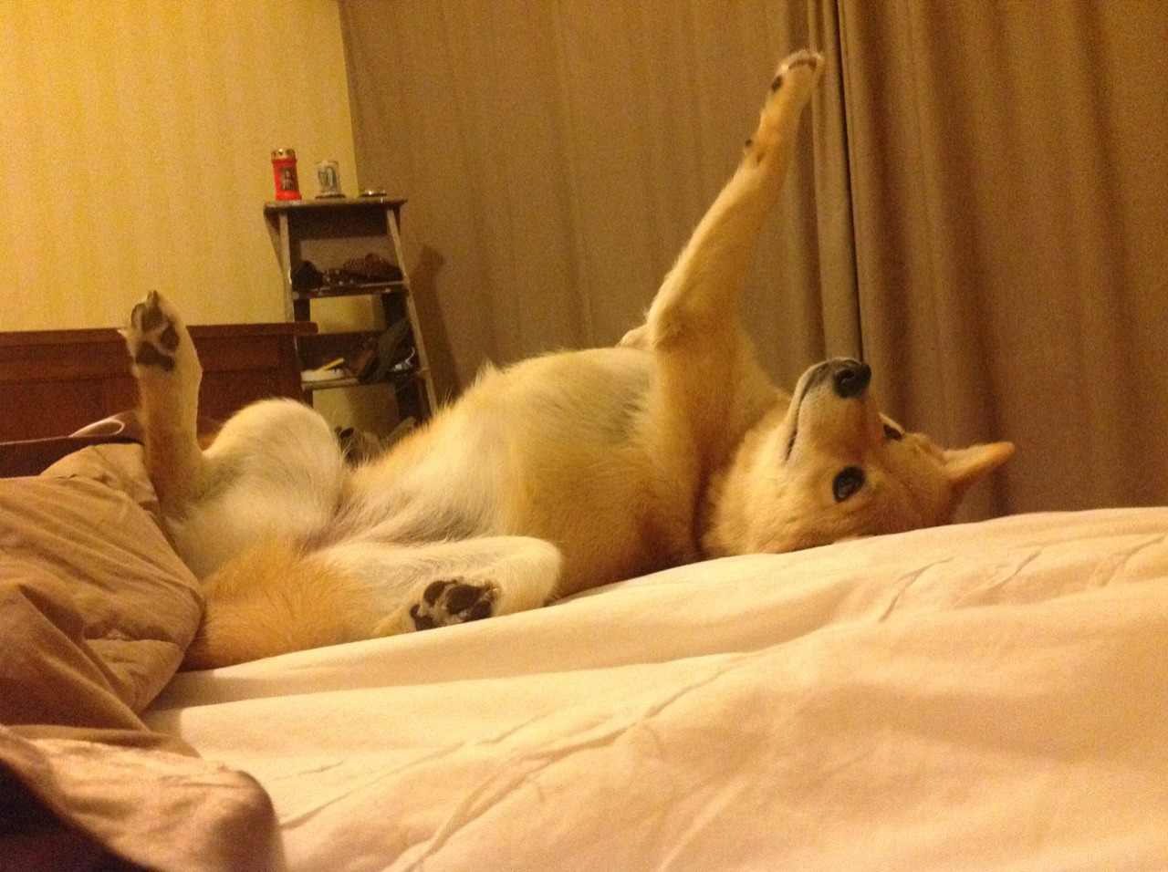 开云体育入口-宿敌新颜，苏亚雷斯客串绝杀，切尔西险胜阿森纳引爆斯坦福桥