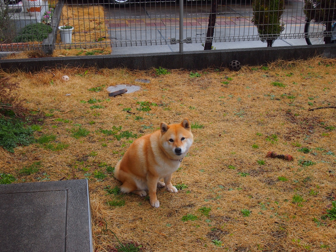 开云体育app-绿茵三重奏，当北欧魔法遇见南国意志