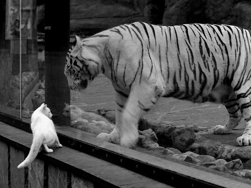 遥相呼应的狂夜，当恩比德50分之光映照伯纳乌绝杀奇迹