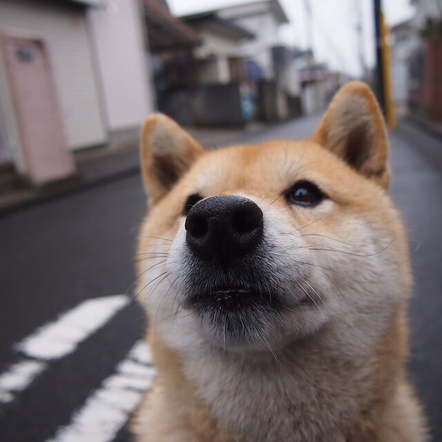 法老的诅咒与少年王的加冕,贝林厄姆于幻影之战中劈开红海