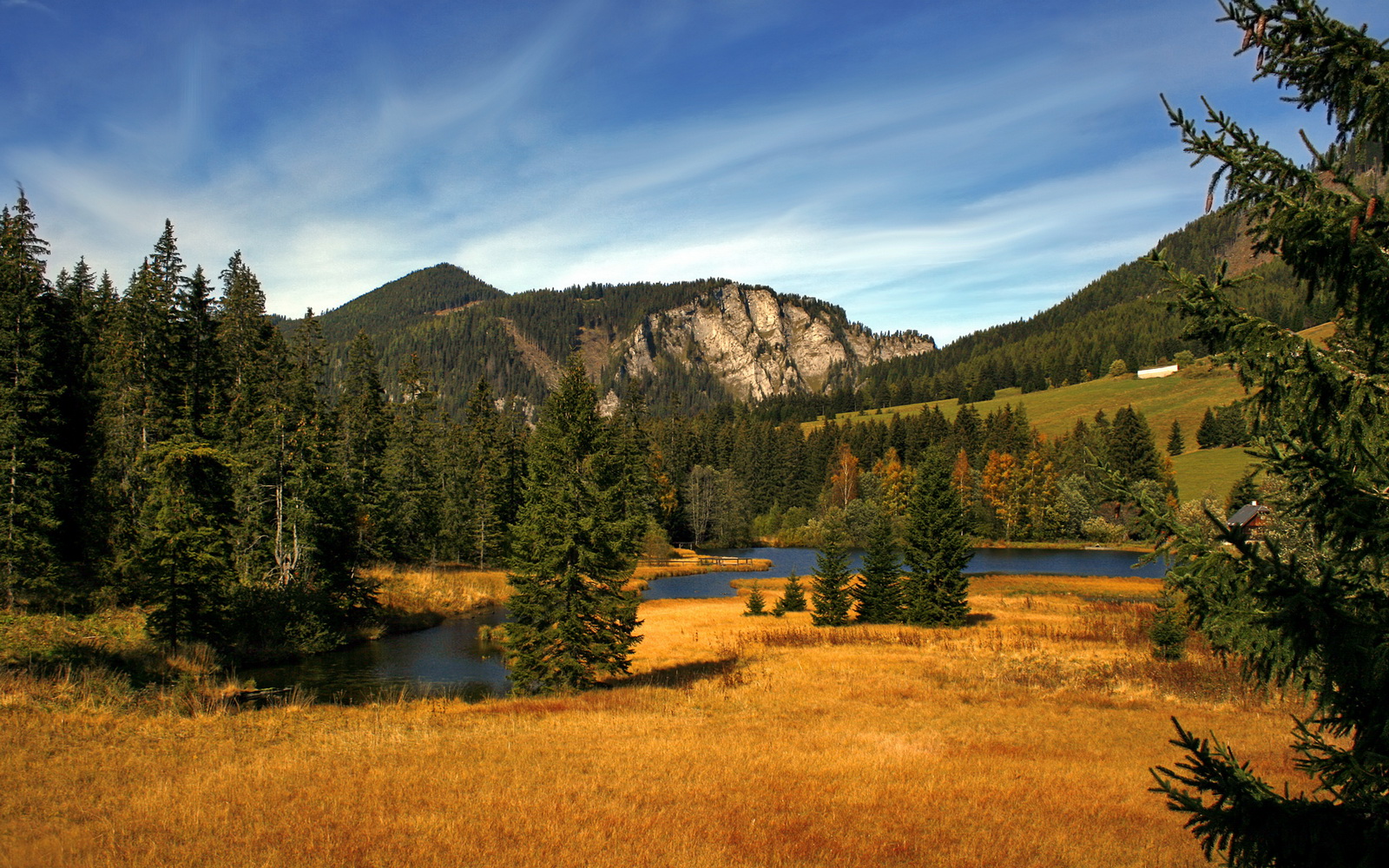 开云体育app-平行宇宙之巅！吉林男篮灵魂附体狂胜火箭，西决上演CBA奇迹