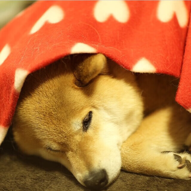 开云体育在线-杜兰特杆位发车