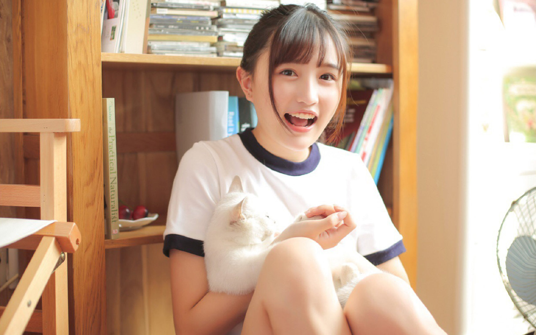 开云体育app-当森林遇见孤狼，狼群战术碾压黄蜂之夜，东契奇却在另一战场改写历史