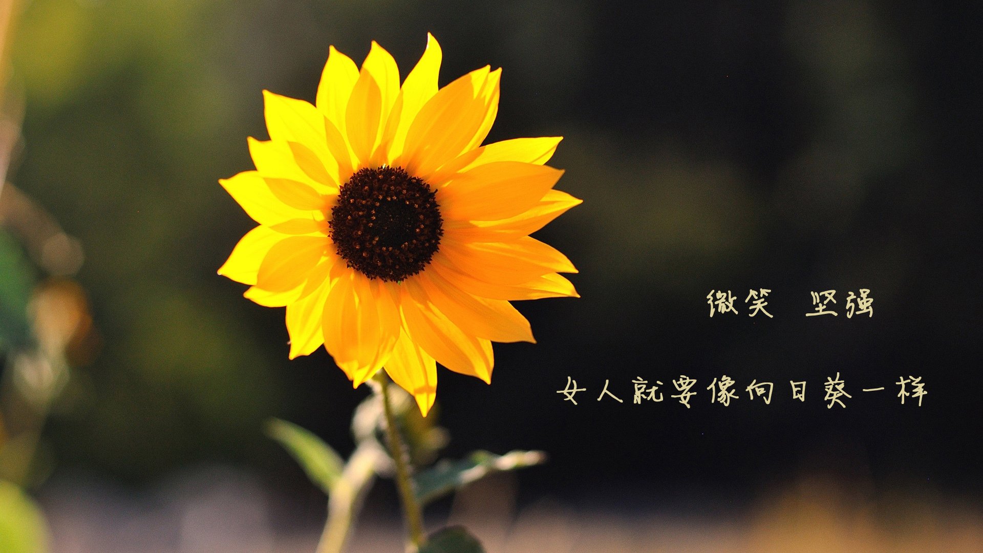 冰与火之歌，巴特勒的逆袭与字母哥的统治—关键战如何定义巨星