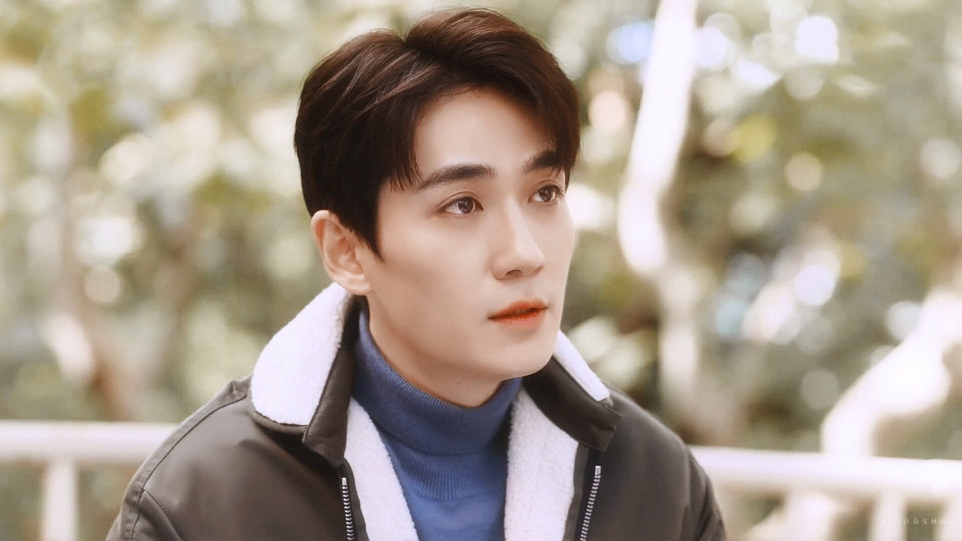 另一种飞行，当老鹰的羽翼掠过地中海