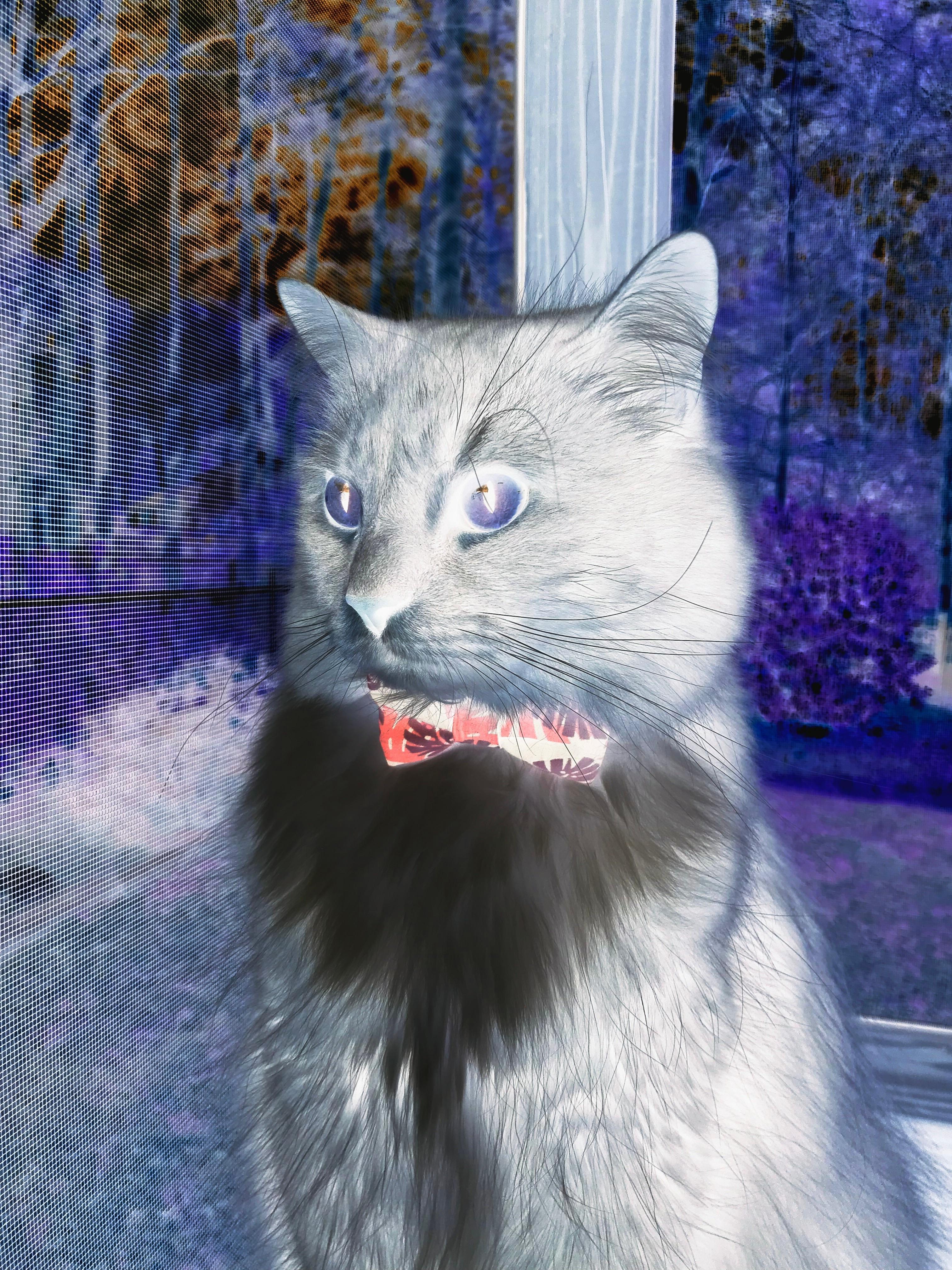 当风暴眼降临绿茵,爱德华兹的压制艺术与一个新时代的序章