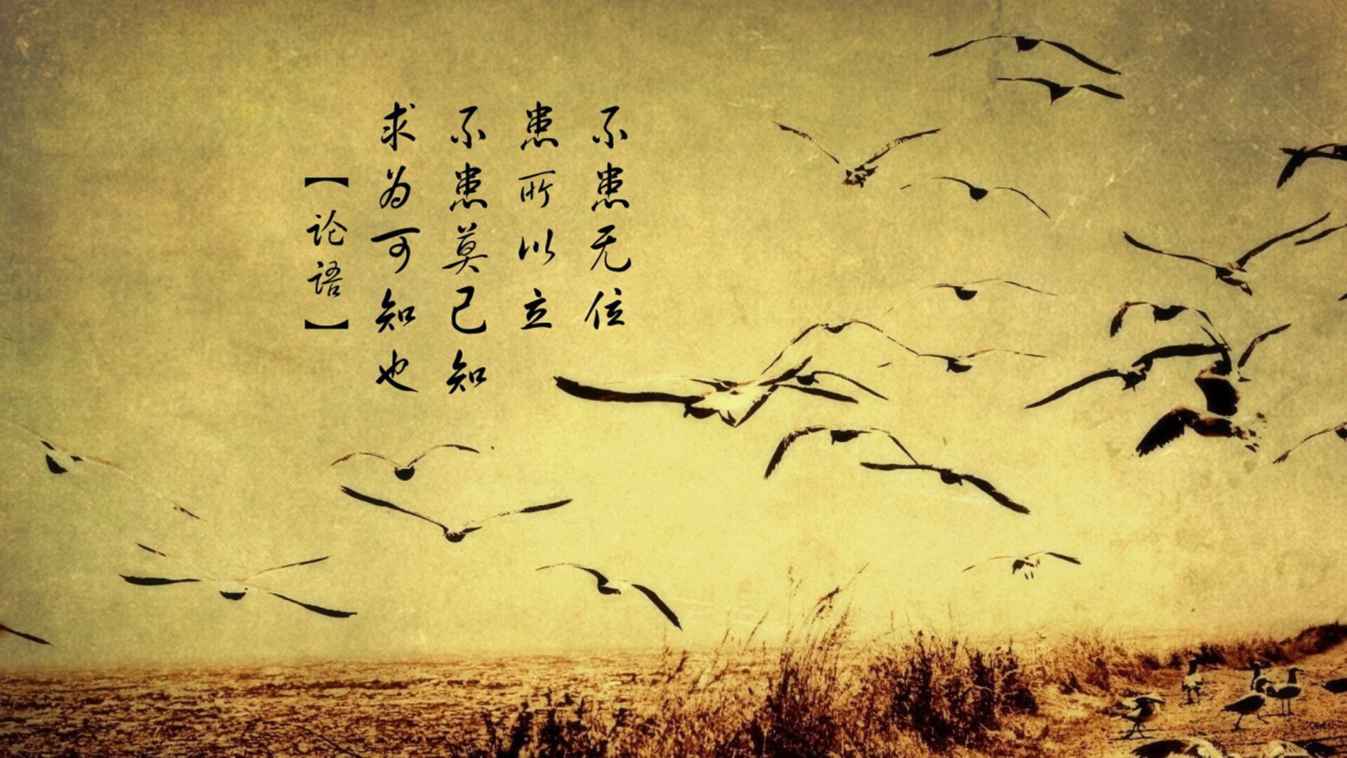 开云体育入口-AC米兰血拼塞维利亚，皮克神锋附体，这场对攻大战为何无人可挡？