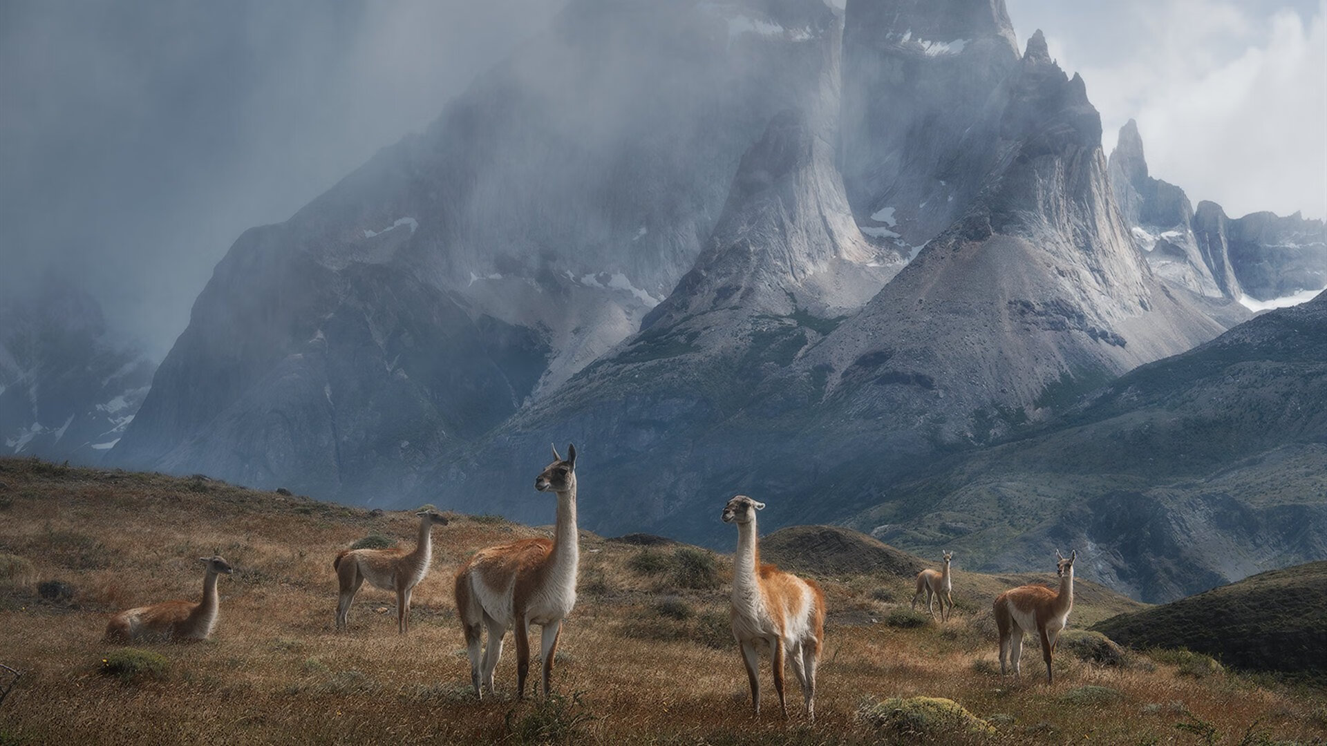 开云体育登录-丹佛夜晚，英格拉姆如蔷薇绽放
