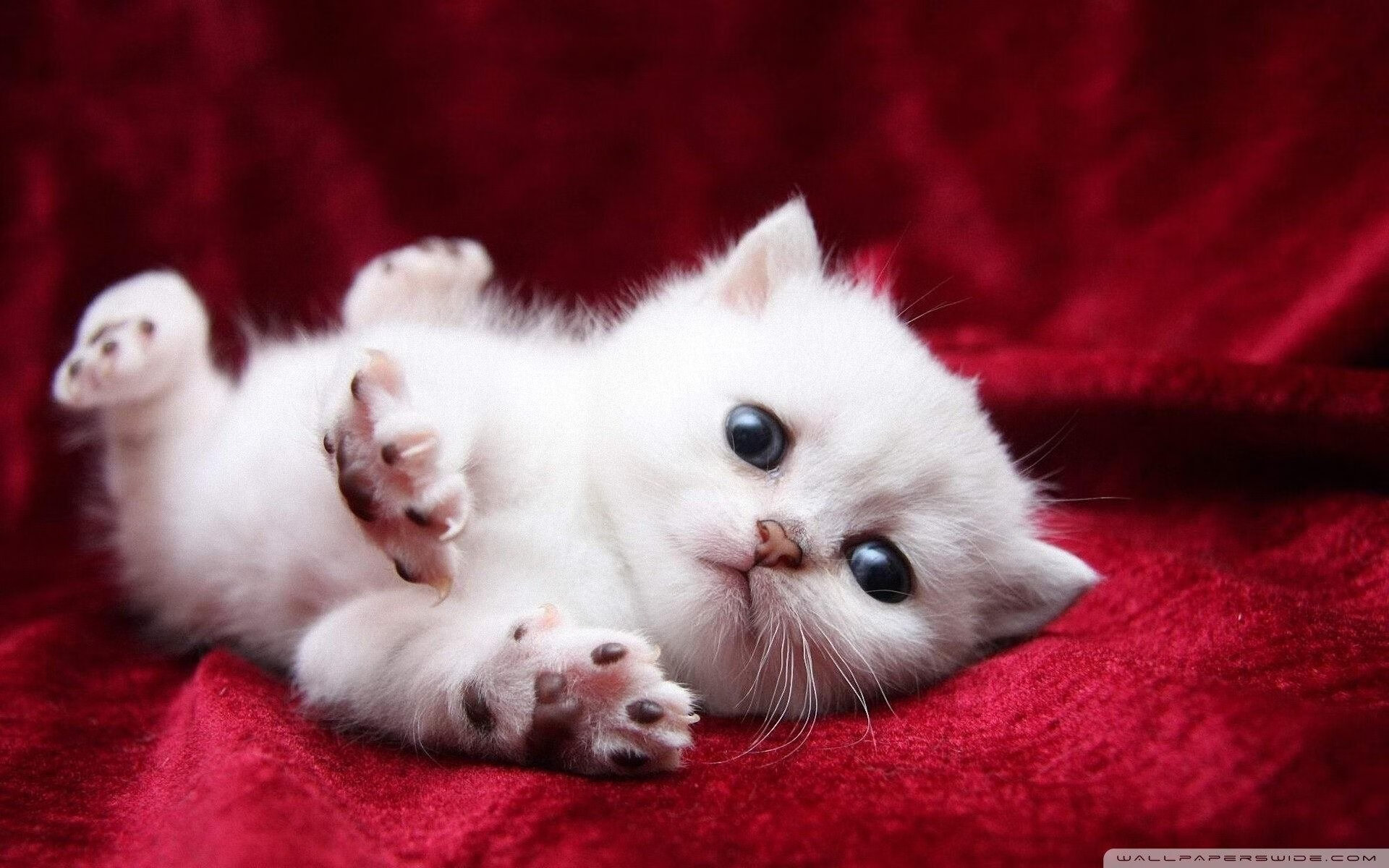 东决式激烈对决，毕尔巴鄂轻取皇马，西甲焦点战再现关键战本色