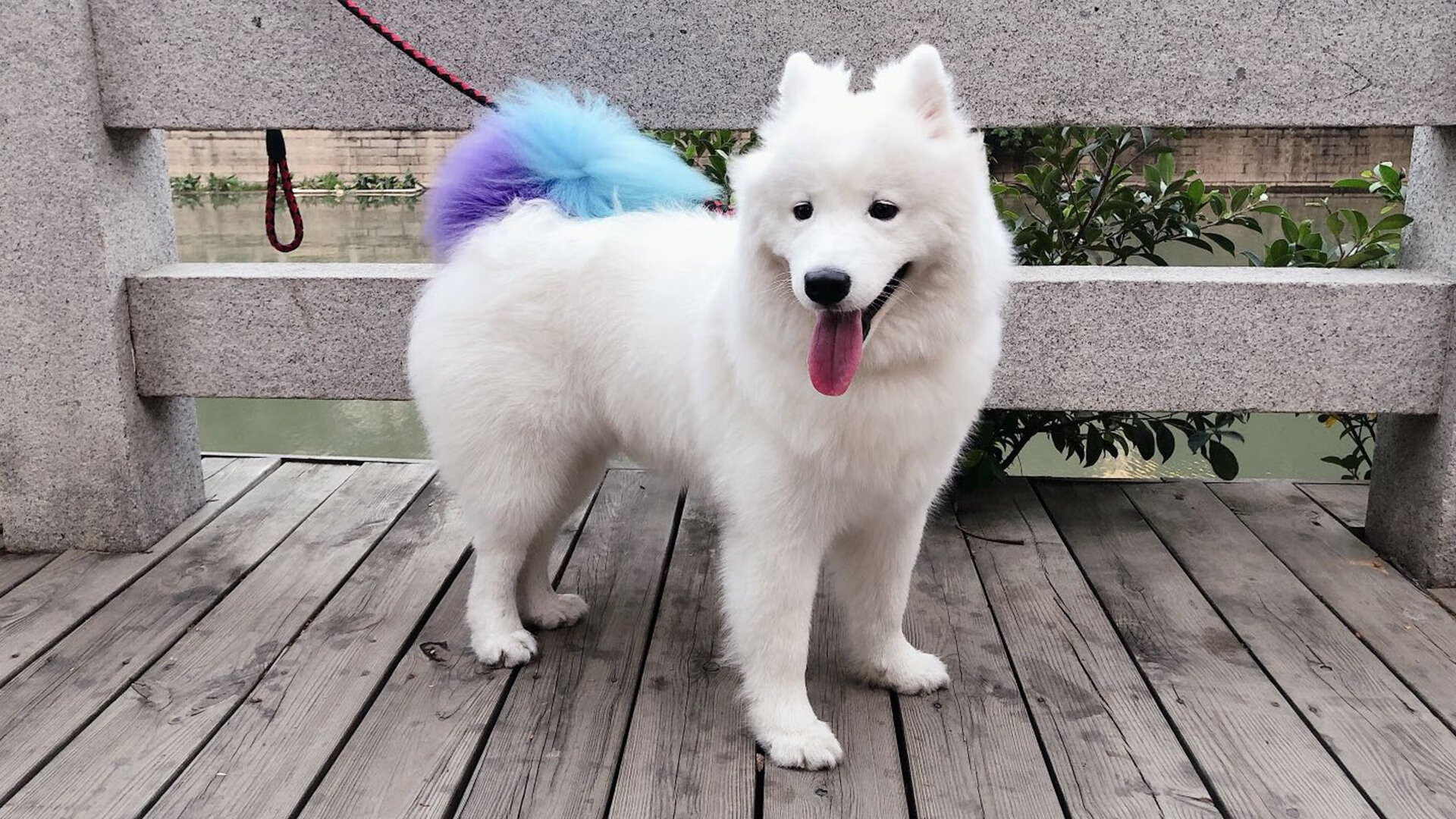 开云体育平台APP-制霸与绝杀，篮球宇宙的平行叙事