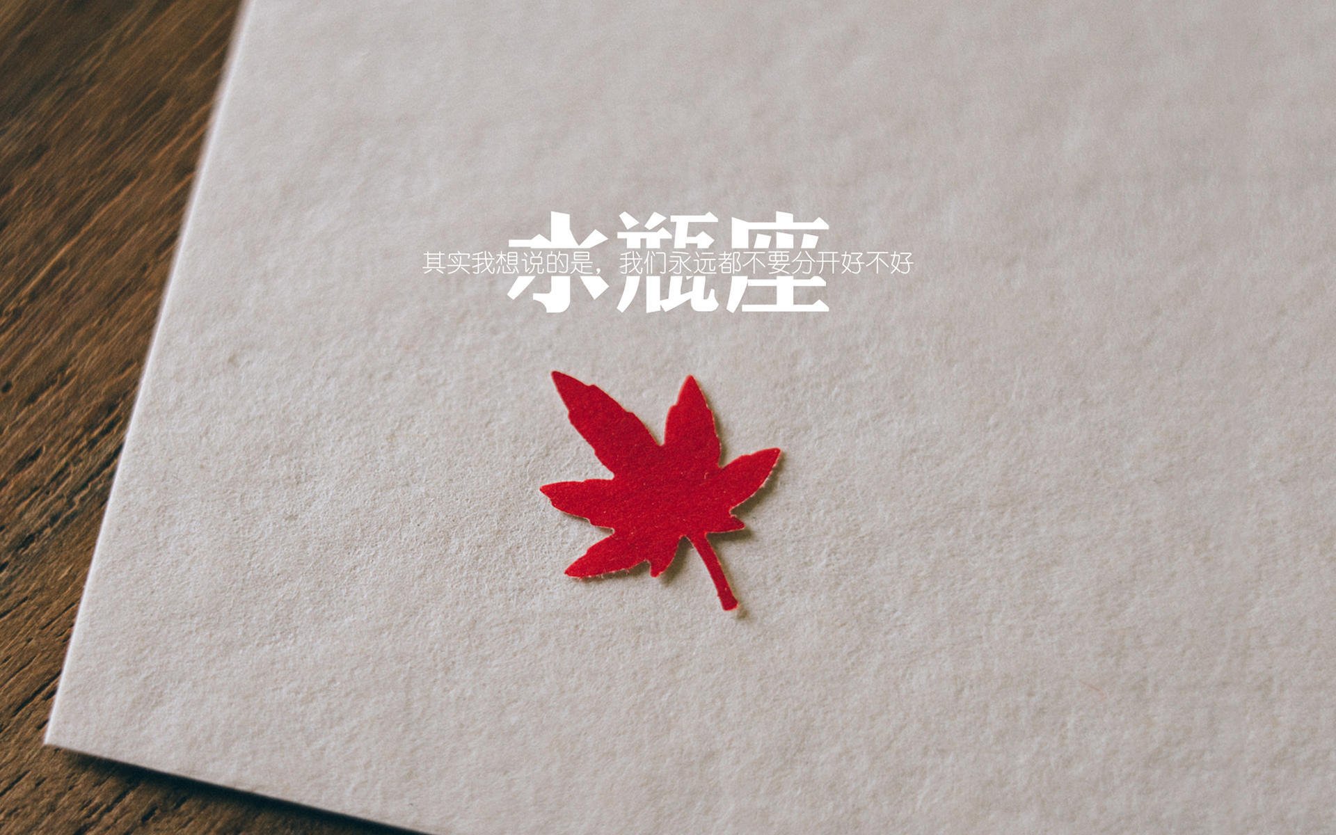 绿茵战场上的孤勇者,2026世界杯E组强强对话,波兰力克葡萄牙,格列兹曼闪耀全场,控球优势铸就唯一经典